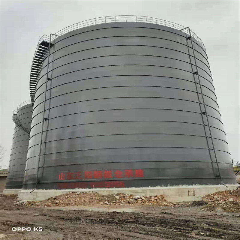 胡市镇3万吨大型钢板库